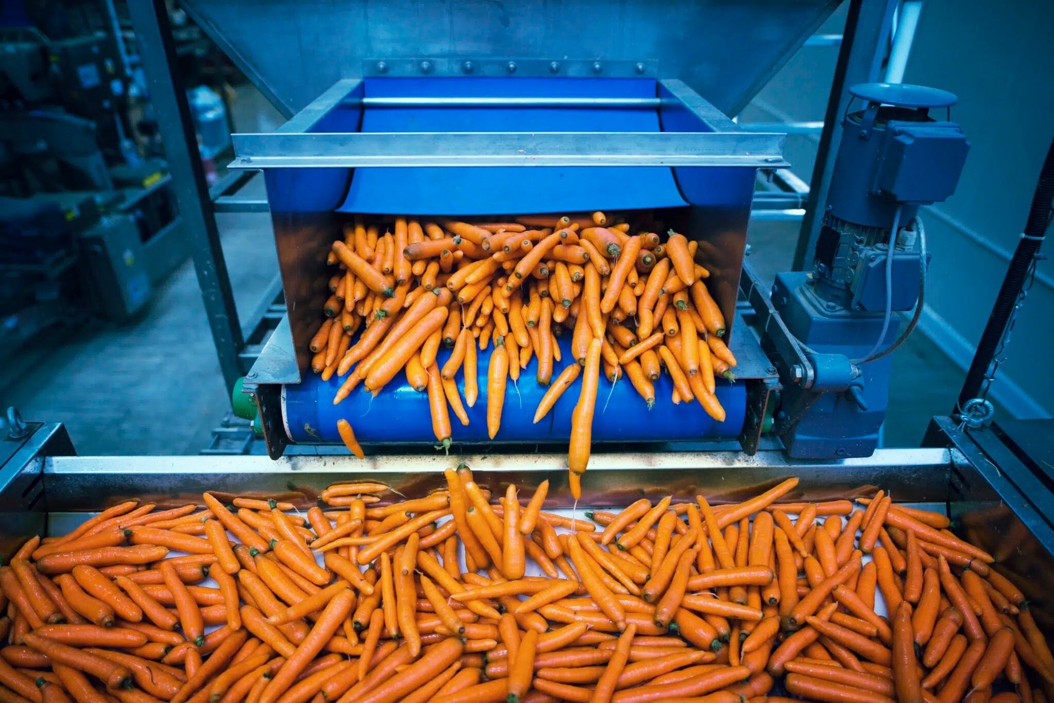 Effektive Schädlingsbekämpfung in der Lebensmittelindustrie: Nachhaltige Lösungen für mehr Hygiene - Green Guardia - Ihr Experte für Schädlinge und Pflanzen