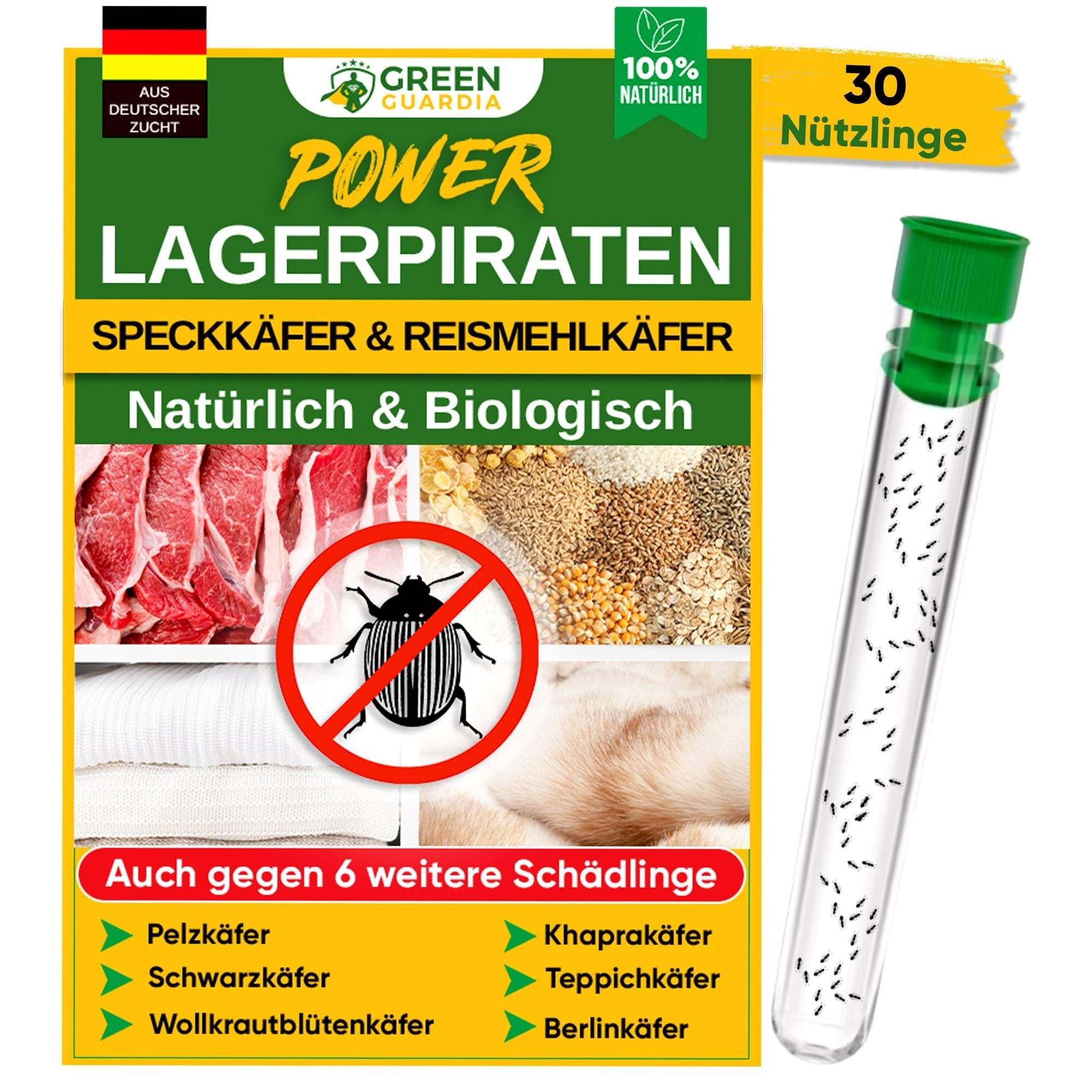Lagerpiraten gegen Speckkäfer, Reismehl - /, Pelz - / & Teppichkäfer - Green Guardia - Ihr Experte für Schädlinge und Pflanzen