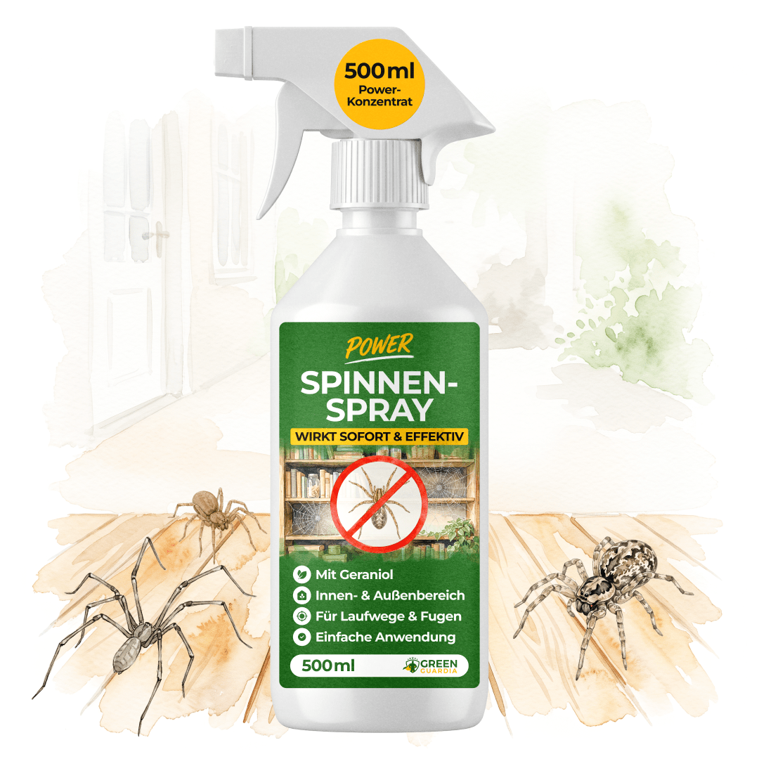 Spinnen Abwehrspray Power-Konzentrat - 500ml - Green Guardia - Ihr Experte für Schädlinge und Pflanzen