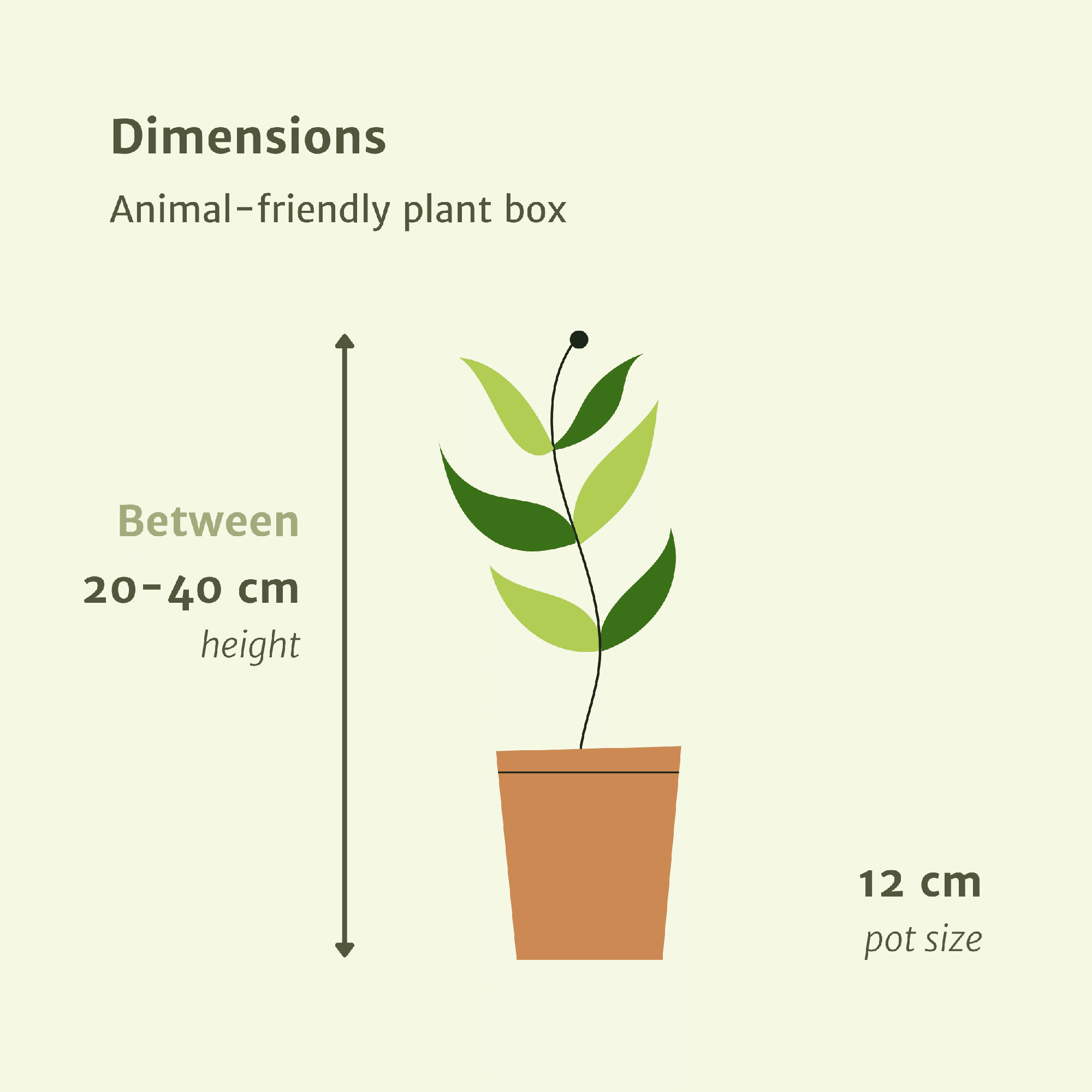 Tierfreundliche Pflanzenkiste – 4 Pflanzen – 12 cm Topf, ca. 20–40 cm hoch - Green Guardia - Ihr Experte für Schädlinge und Pflanzen
