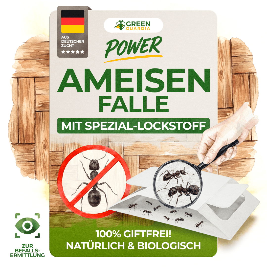 Ameisen Falle - Green Guardia - Ihr Experte für Schädlinge und Pflanzen