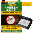 Ameisen Falle