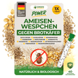 Petites guêpes parasites (Ameisenwespchen) contre les vrillettes du pain, les vrillettes du tabac, etc.