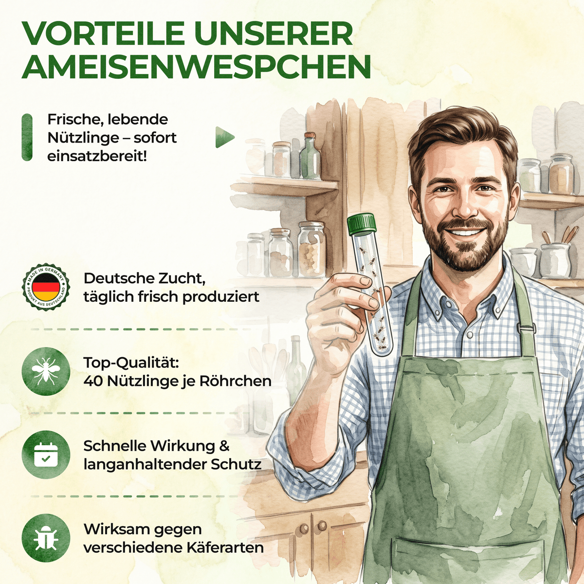 Ameisenwespchen gegen Brotkäfer, Tabakkäfer & Co. - Green Guardia - Ihr Experte für Schädlinge und Pflanzen