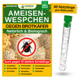Ameisenwespchen gegen Brotkäfer, Tabakkäfer & Co.