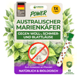 Australischer Marienkäfer gegen Wollläuse, Schmierläuse & Blattläuse