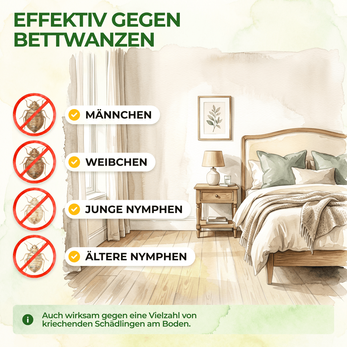 Bettwanzen Falle - Green Guardia - Ihr Experte für Schädlinge und Pflanzen