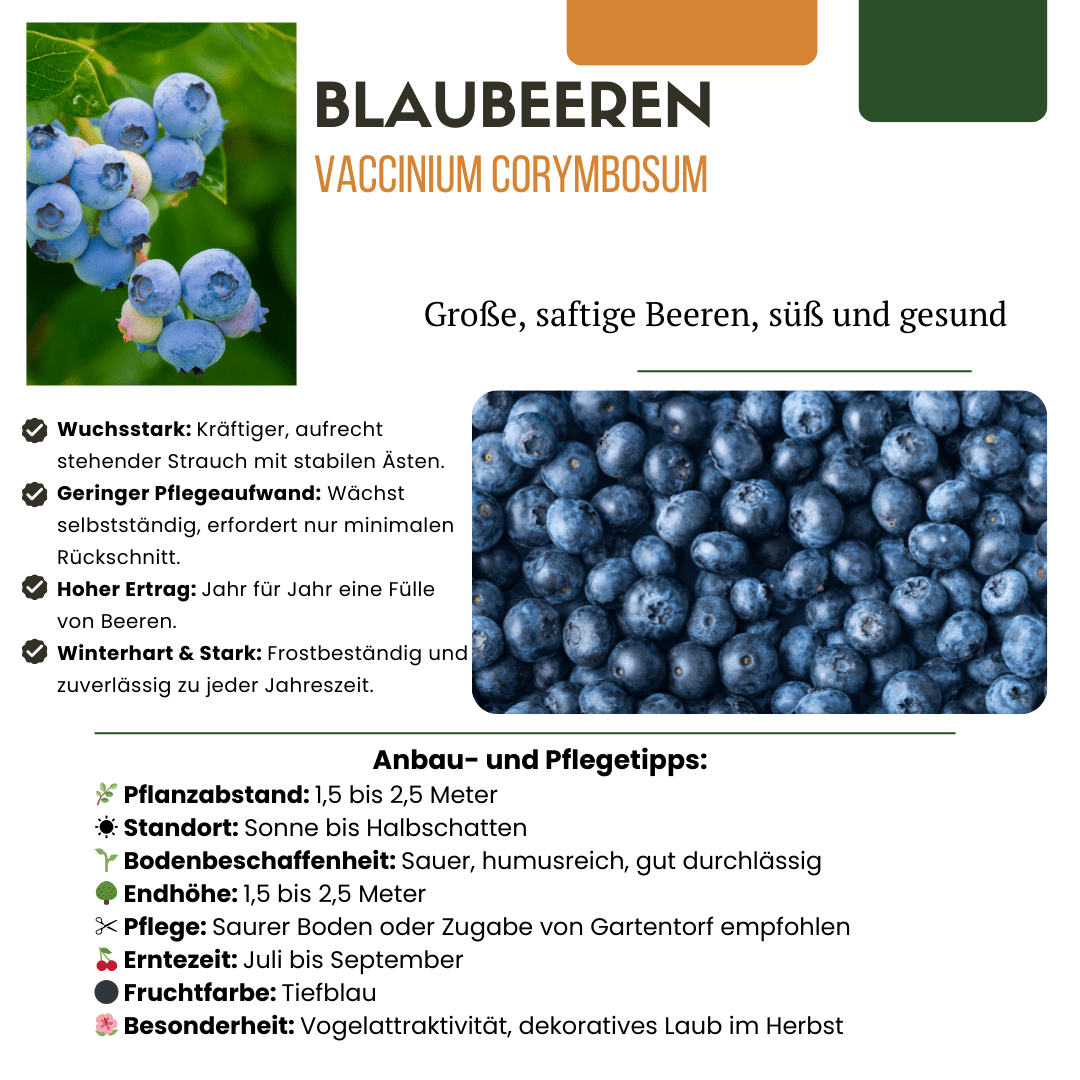 BIO Obstpflanzen - Mix „Früchte - Party“ – 3 verschiedene Obstsorten - Green Guardia - Ihr Experte für Schädlinge und Pflanzen