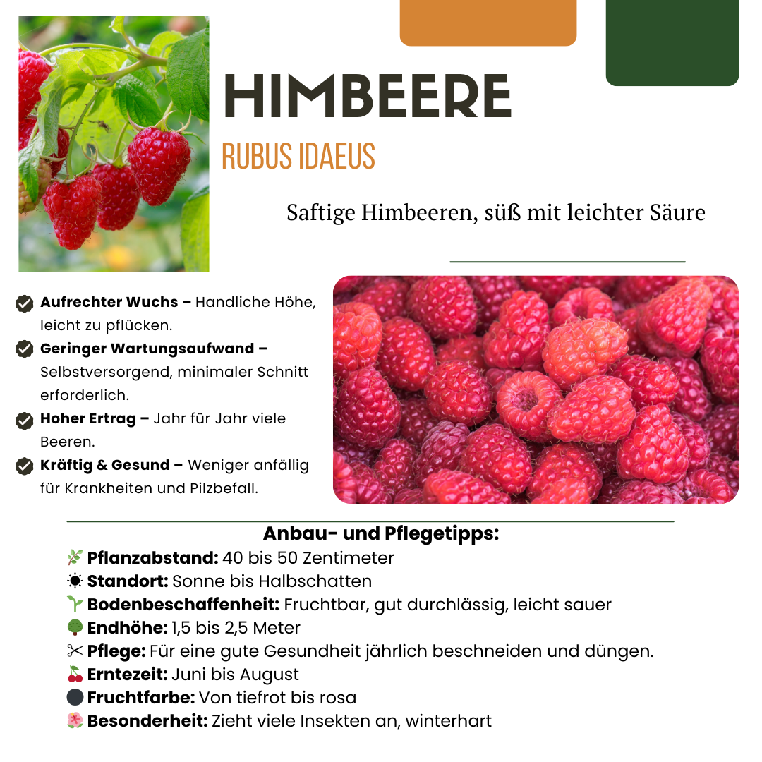BIO Obstpflanzen - Mix „Früchteparadies“ – 4 verschiedene Obstsorten - Green Guardia - Ihr Experte für Schädlinge und Pflanzen