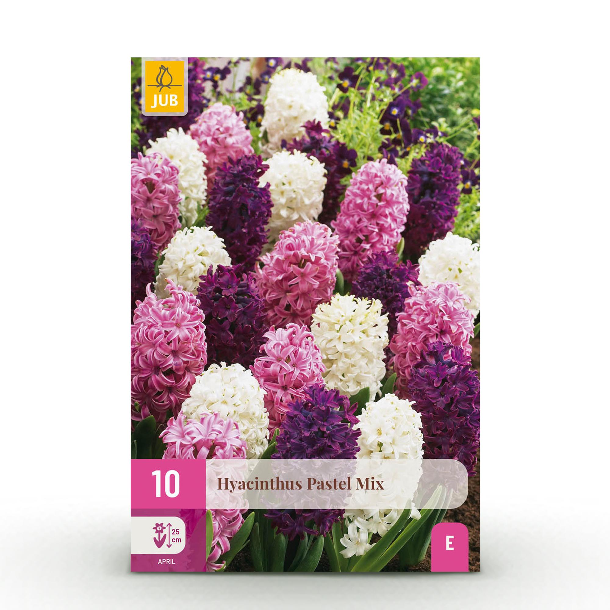 Blumenzwiebeln – Hyazinthe Pastel Mix – winterhart & mehrjährig – verschiedene Pastellfarben – 10 Stück – Zwiebelgröße 14/15 – XXL Pack - Green Guardia - Ihr Experte für Schädlinge und Pflanzen