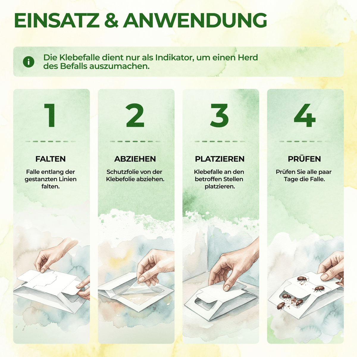 Brotkäfer Falle - Green Guardia - Ihr Experte für Schädlinge und Pflanzen