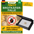 Brotkäfer Falle