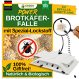 Brotkäfer Falle