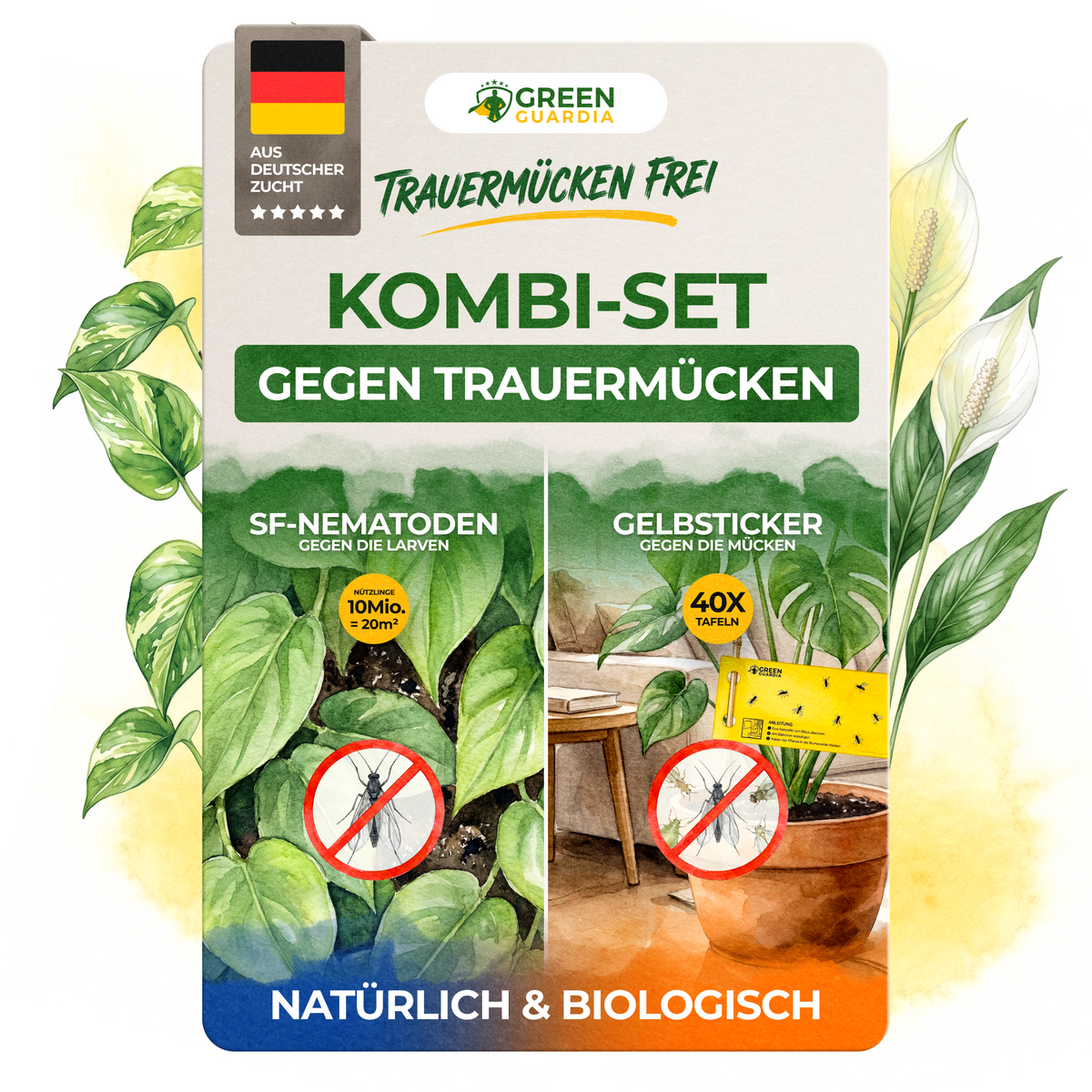 Trauermücken-Frei Set