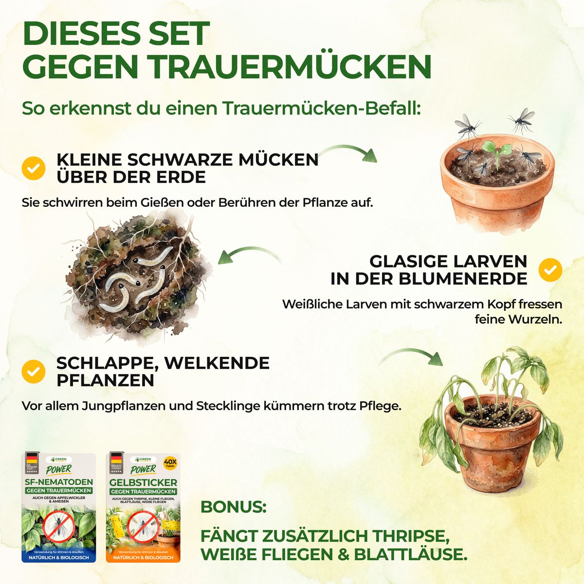 Trauermücken-Frei Set