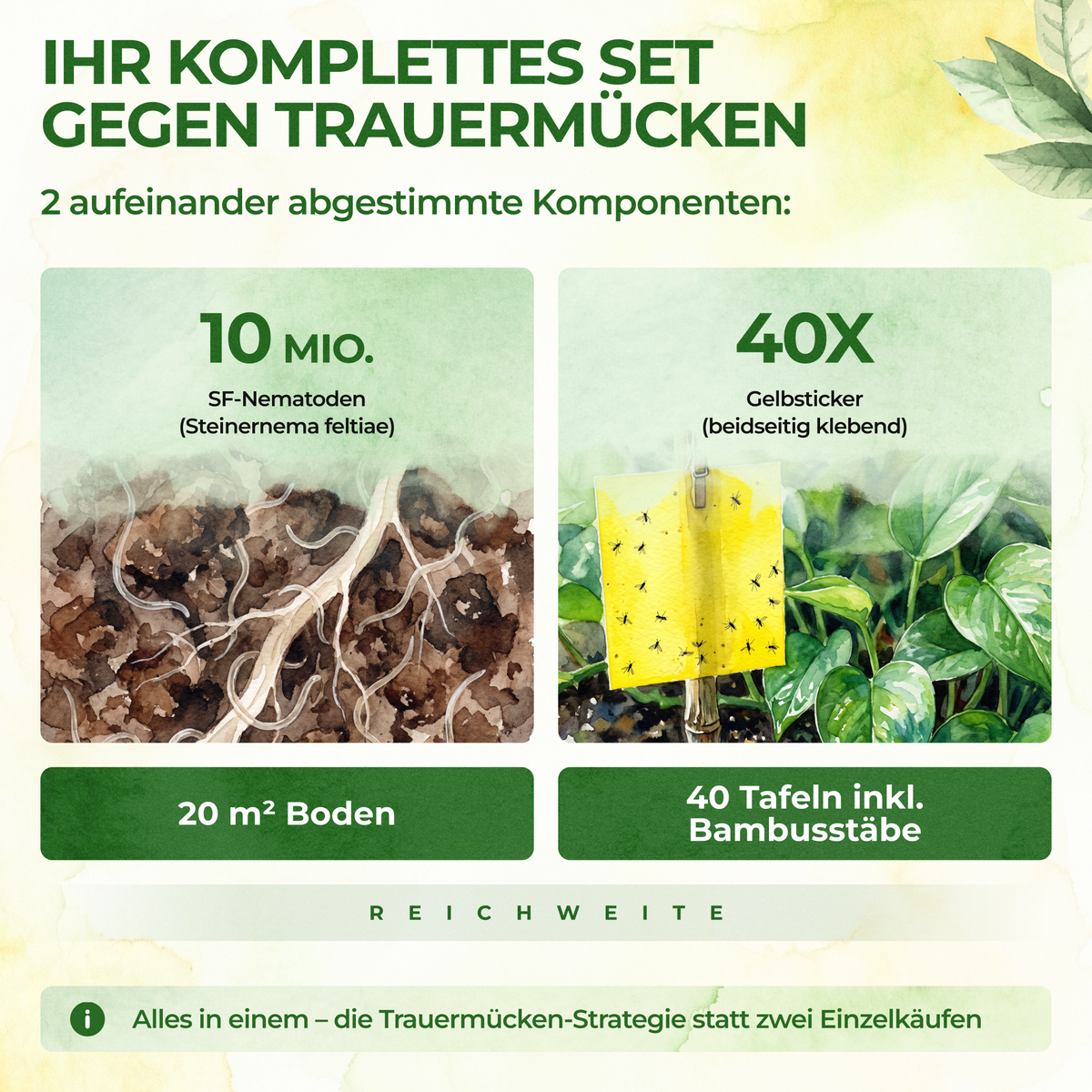 Trauermücken-Frei Set