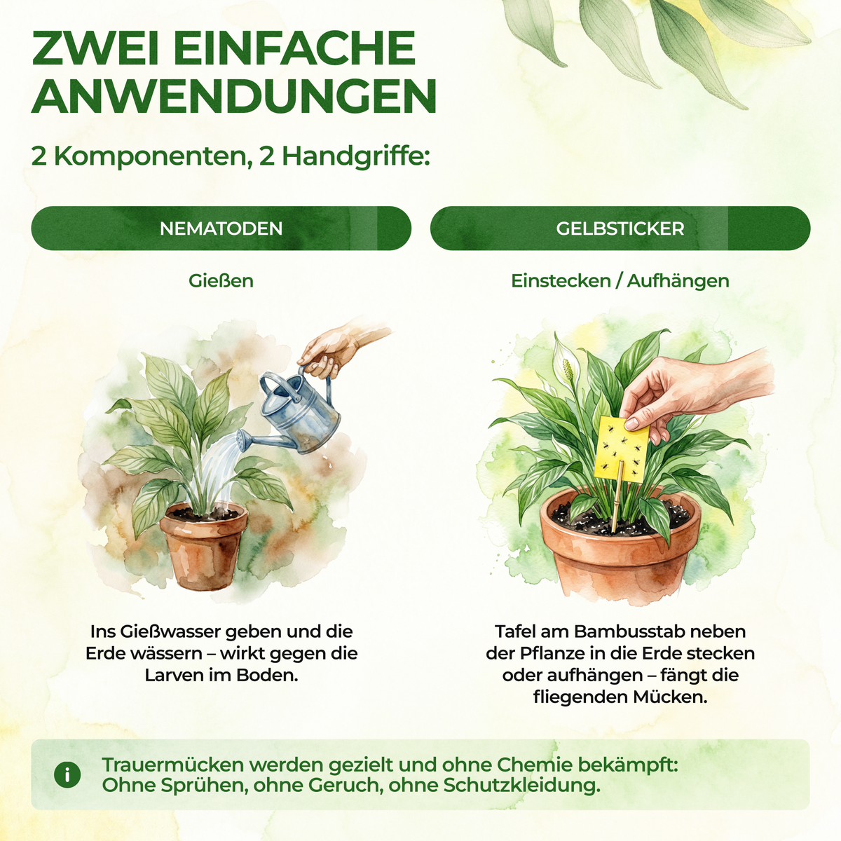 Trauermücken-Frei Set