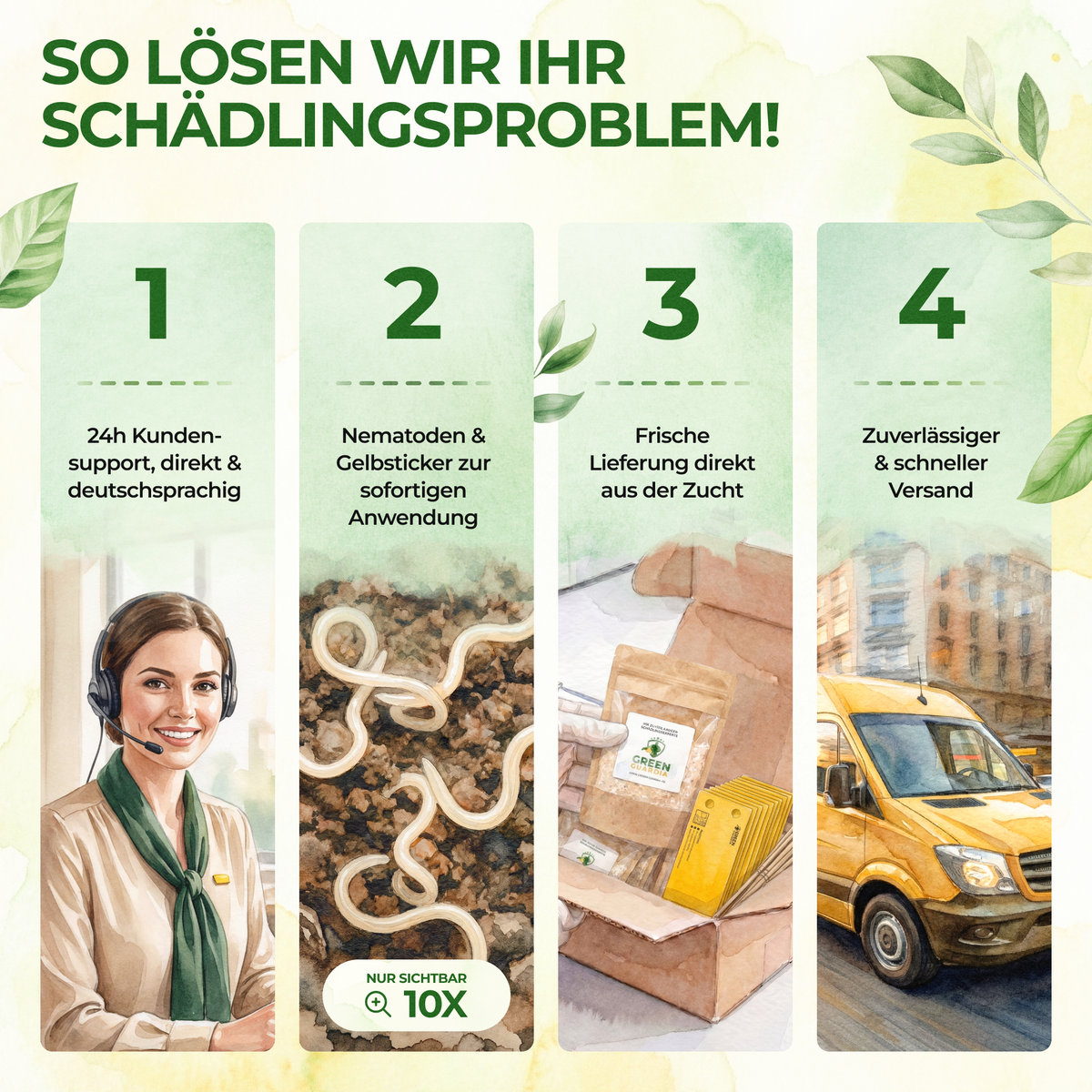 Trauermücken-Frei Set