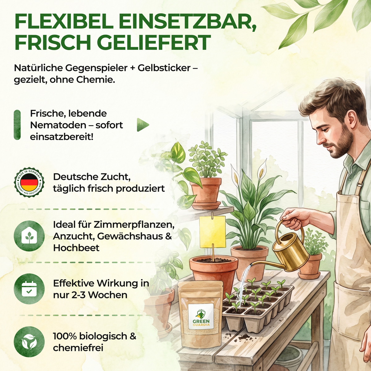 Trauermücken-Frei Set