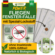 Fliegen Fenster-Falle
