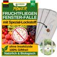 Fruchtfliegen Fenster-Falle