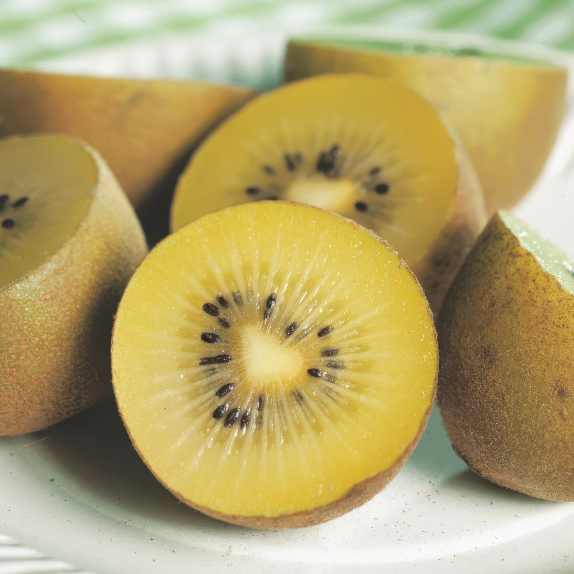 Gelbe Kiwi „Golden Kiwi“ (Actinidia deliciosa), 2 Pflanzen, 50 cm hoch - Green Guardia - Ihr Experte für Schädlinge und Pflanzen