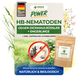 HB-Nematoden gegen Dickmaulrüssler & Engerlinge