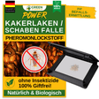Kakerlaken / Schaben Falle