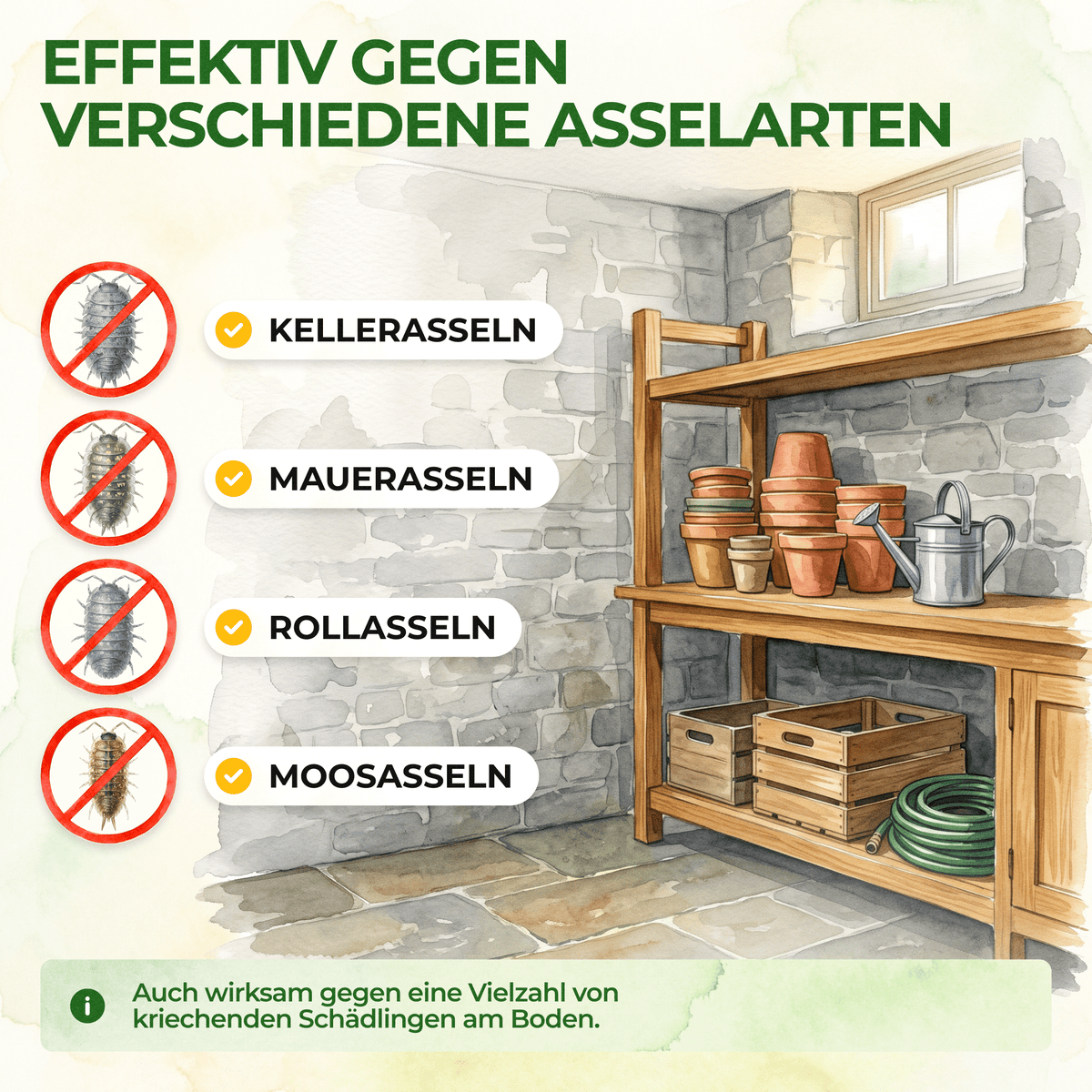 Kellerasseln Falle - Green Guardia - Ihr Experte für Schädlinge und Pflanzen