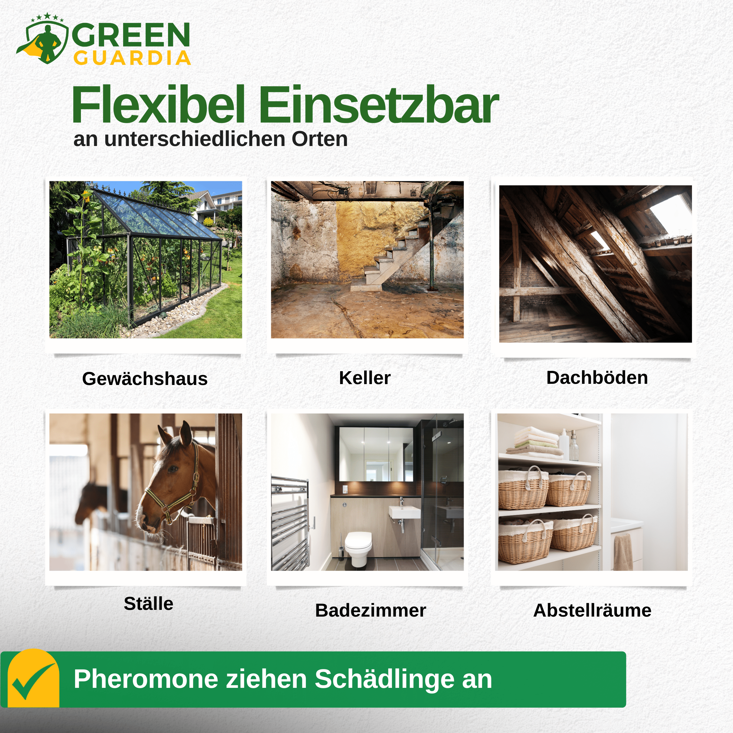 Kellerasseln Falle mit Pheromon - Lockstoff - Green Guardia - Ihr Experte für Schädlinge und Pflanzen
