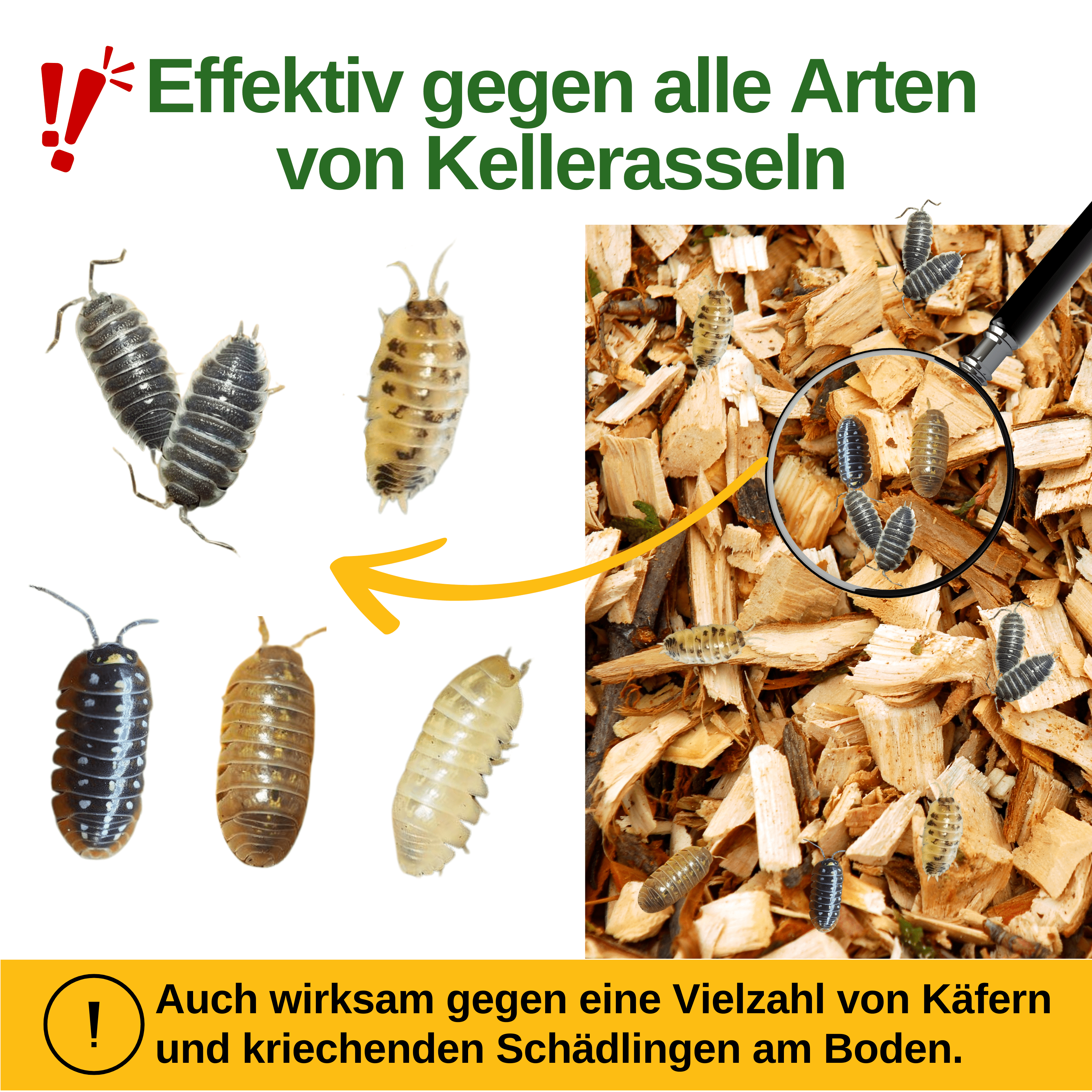 Kellerasseln Falle mit Spezial - Lockstoff - Green Guardia - Ihr Experte für Schädlinge und Pflanzen