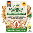 Guêpes vrillettes contre les chrysomèles du pain, les coléoptères du riz, etc. 