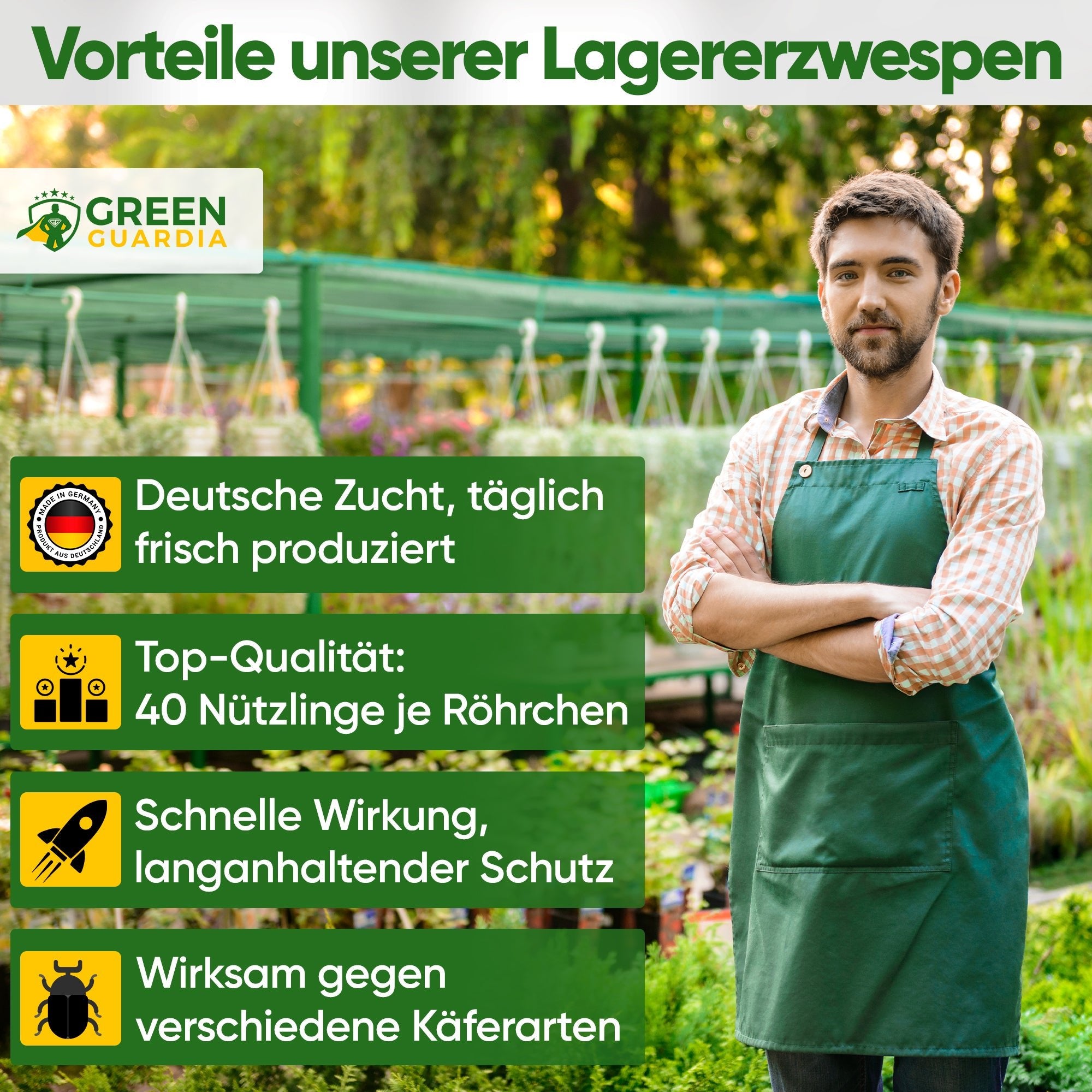 Lagererzwespen gegen Brotkäfer, Reiskäfer & Co. - Green Guardia - Ihr Experte für Schädlinge und Pflanzen