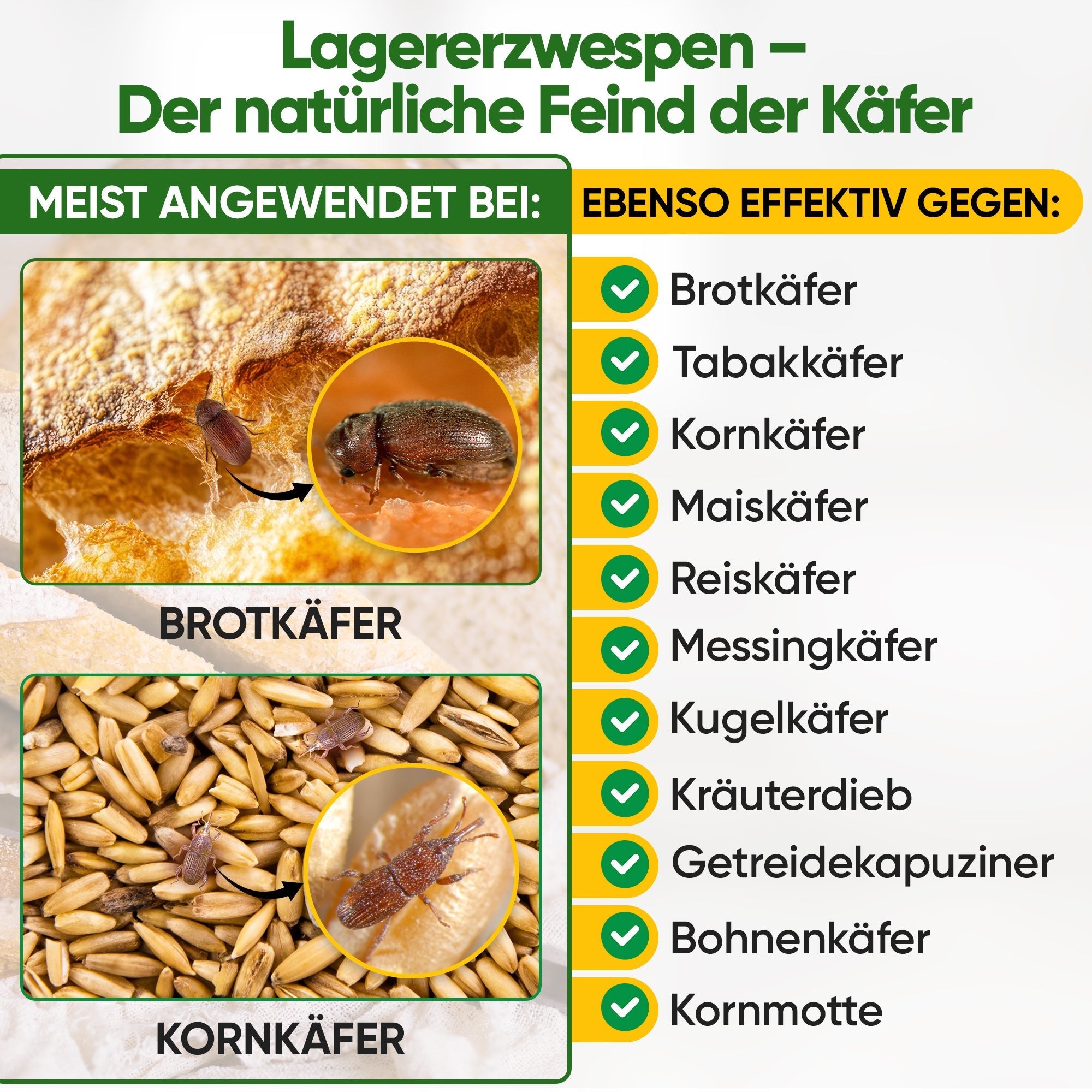 Lagererzwespen gegen Brotkäfer, Reiskäfer & Co. - Green Guardia - Ihr Experte für Schädlinge und Pflanzen