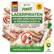Lagerpiraten contre les coléoptères du lard, les triboliums de la farine de riz, les coléoptères des fourrures et les anthrènes des tapis 