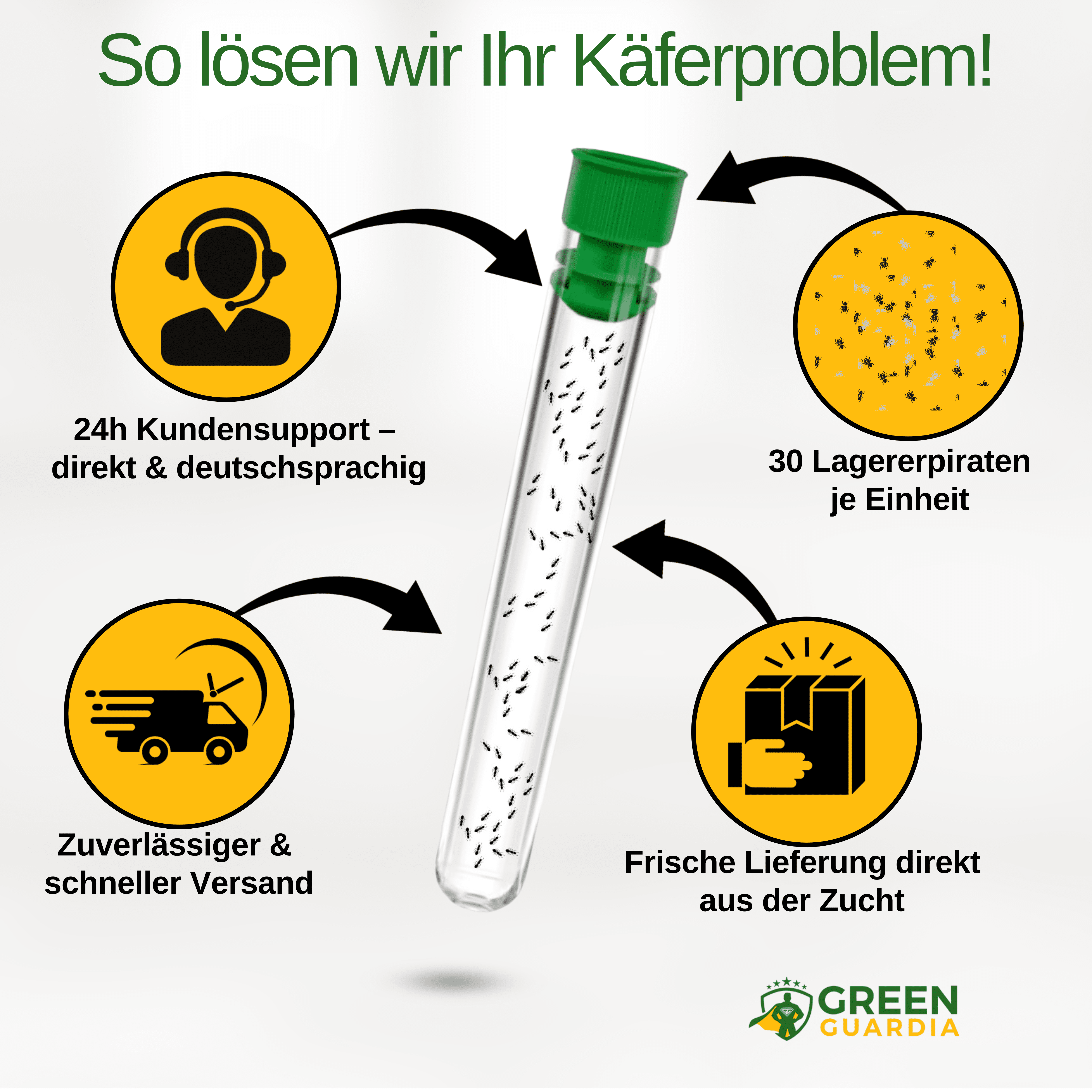Lagerpiraten gegen Speckkäfer, Reismehl - /, Pelz - / & Teppichkäfer - Green Guardia - Ihr Experte für Schädlinge und Pflanzen