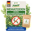Nematoden gegen Buchsbaumzünsler