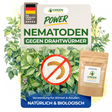 Nematoden gegen Drahtwürmer