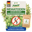 Nematoden gegen Eichenprozessionsspinner