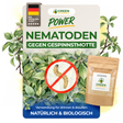 Nematoden gegen Gespinstmotte