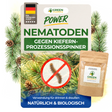 Nematoden gegen Kiefernprozessionsspinner