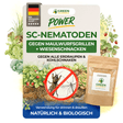 SC-Nematoden gegen Maulwurfsgrillen, Wiesenschnaken und Erdraupen