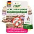 Schlupfwespen gegen Kleidermotten