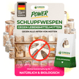 Schlupfwespen gegen Lebensmittelmotten