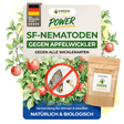 SF-Nematoden gegen Apfelwickler