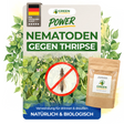 Nematoden gegen Thripse