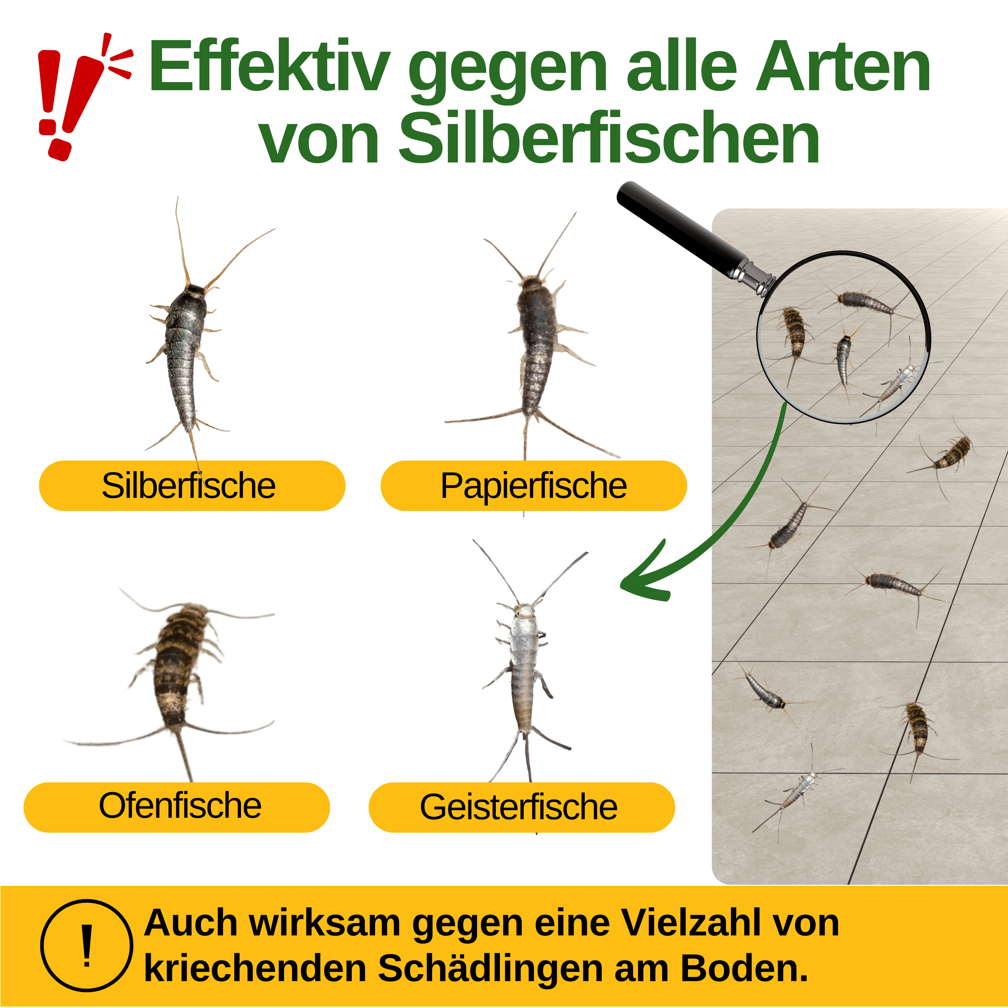 Silberfisch Falle mit Spezial - Lockstoff - Green Guardia - Ihr Experte für Schädlinge und Pflanzen