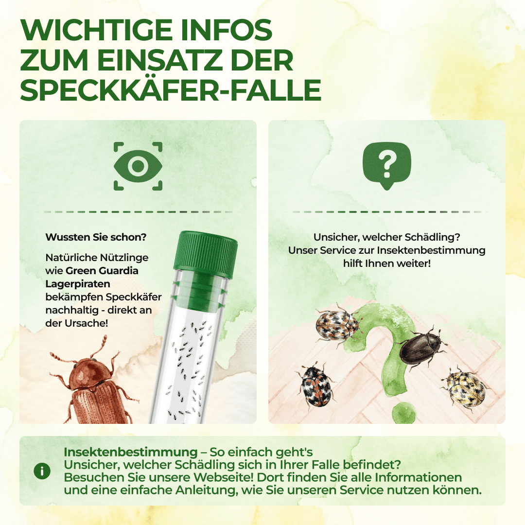 Speckkäfer Falle - Green Guardia - Ihr Experte für Schädlinge und Pflanzen