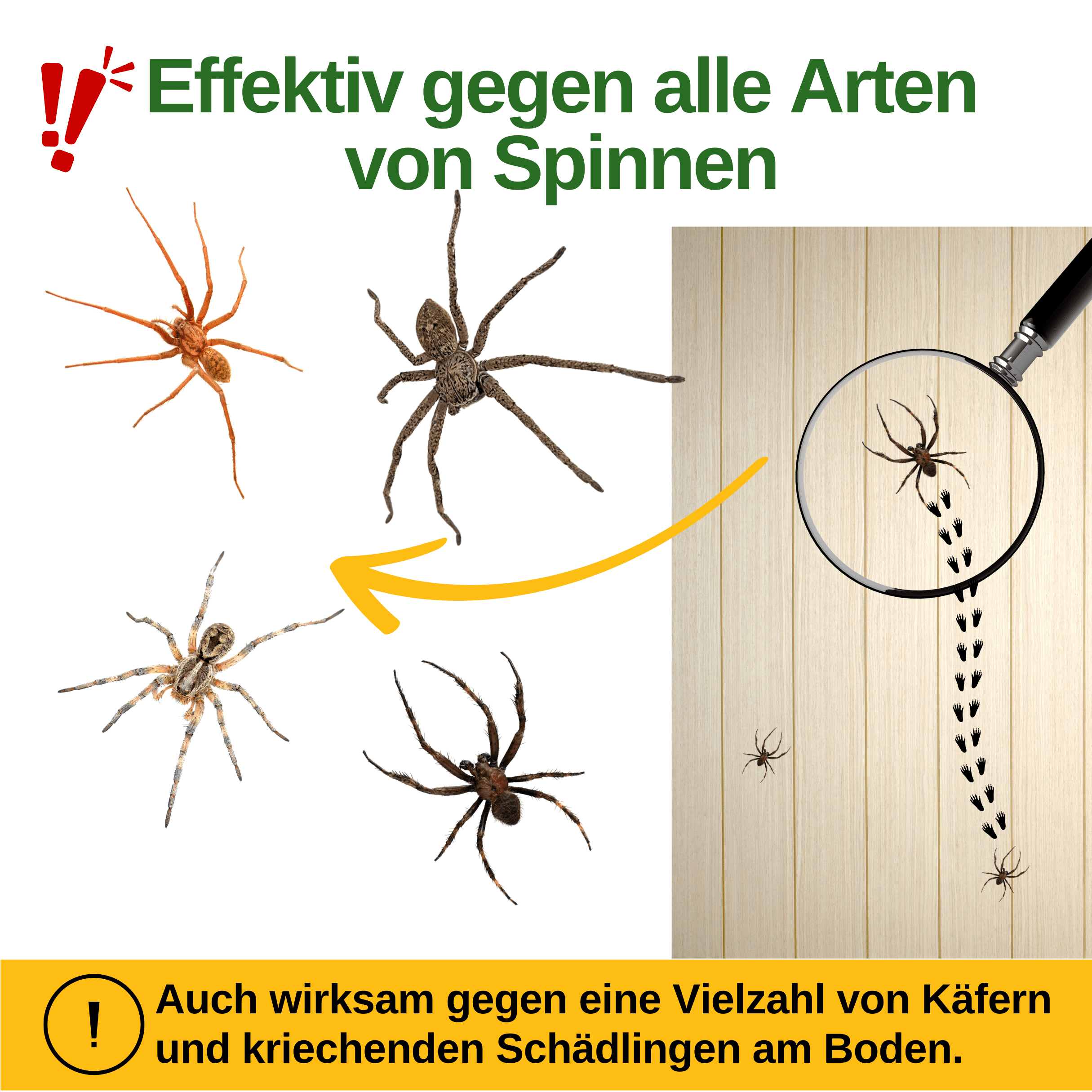 Spinnen Falle mit Spezial - Lockstoff - Green Guardia - Ihr Experte für Schädlinge und Pflanzen