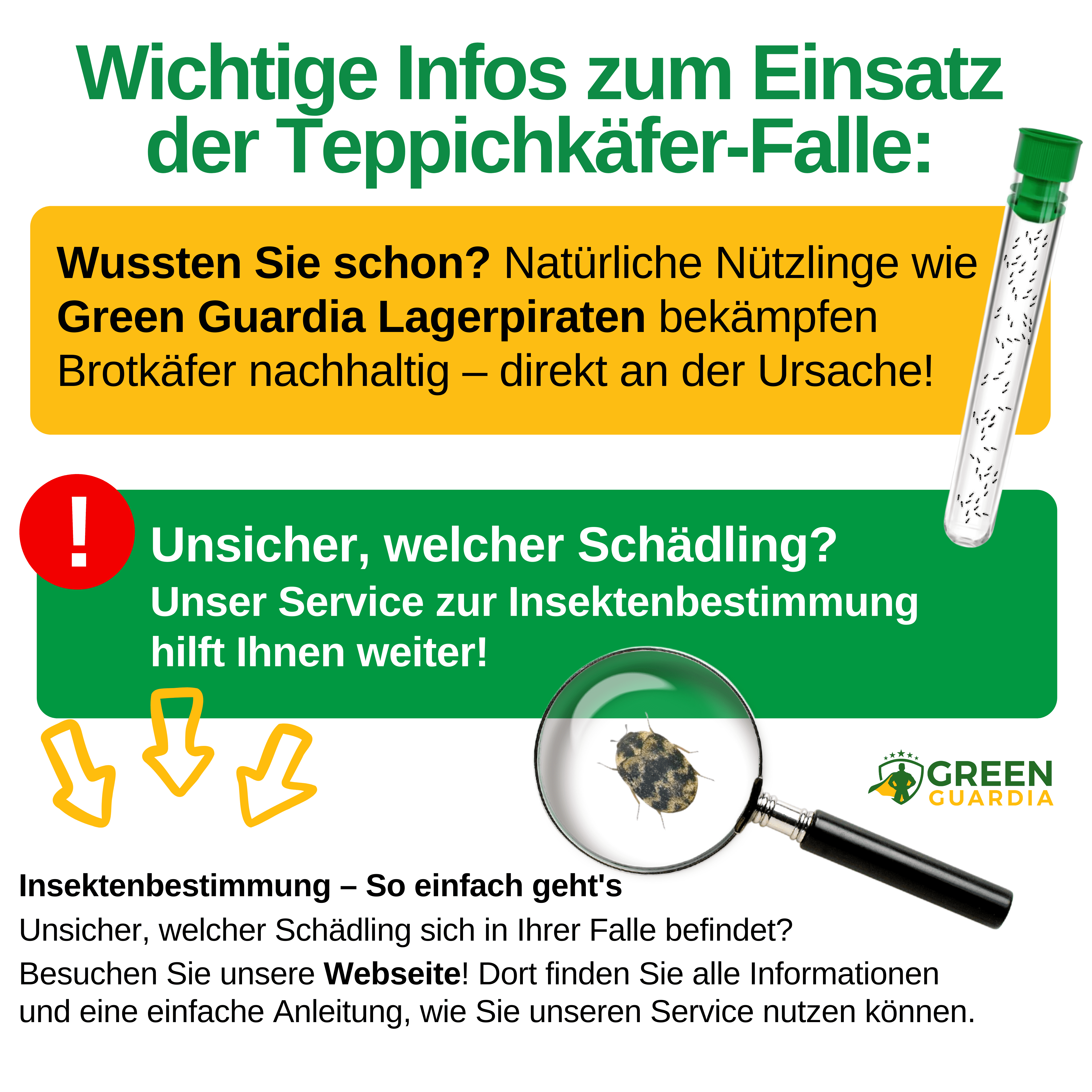 Teppichkäfer Falle mit Pheromon - Lockstoff - Green Guardia - Ihr Experte für Schädlinge und Pflanzen